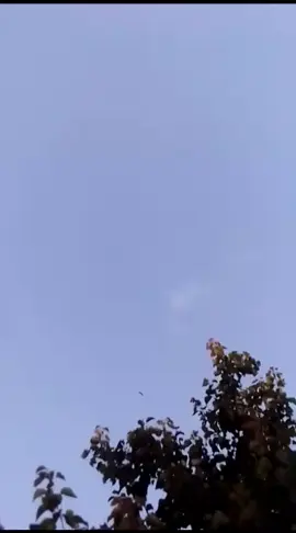 #wettoyzworldwide💦ebuslezinja🔥💯 #umshiso❤🔥 #wetboni💙 @cool cat GP📍🔥👨‍🚒🧯✅ @Bonolo_Gp @üñkñøwñ ķïîd🥺🤞❤🤟 #fyp #valltikto🇮🇹 #stancenation