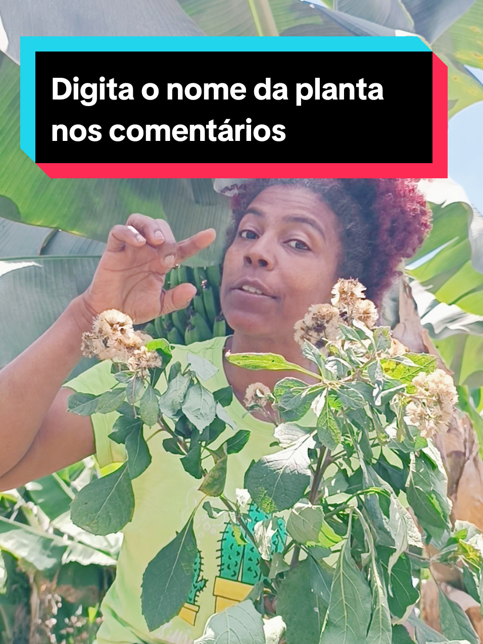Planta medicinal #creatorsearchinsight #plantas #tiktokviral 