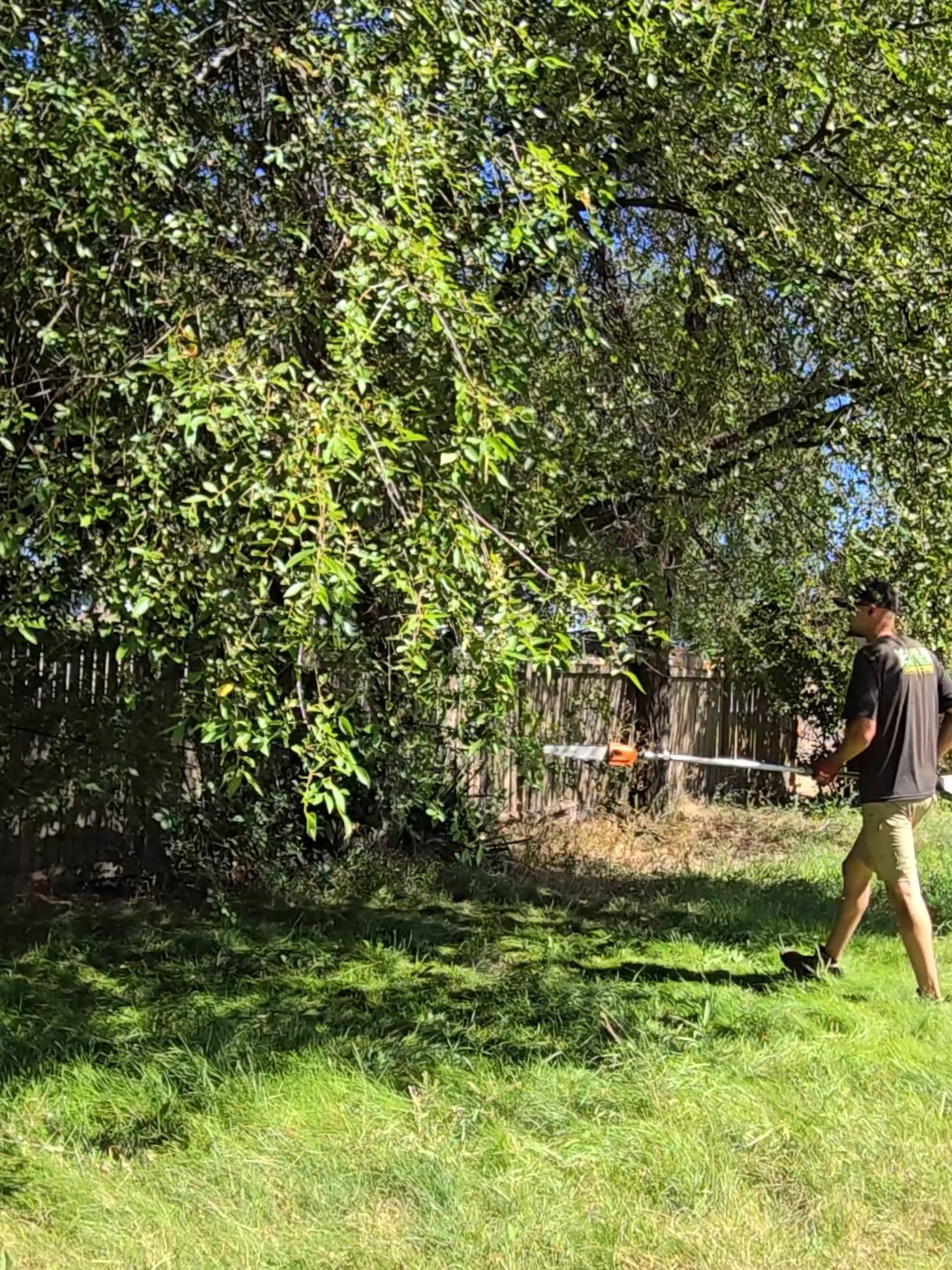 Fill's Lawn Care ❌ Fill's Tree Service ✅