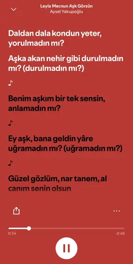 Aysel Yakupoğlu Leyla Mecnun Aşk Görsün #ayselyakupoğlu #leylamecnunaşkgörsün #spotify #şarkı @Taha_cgl 