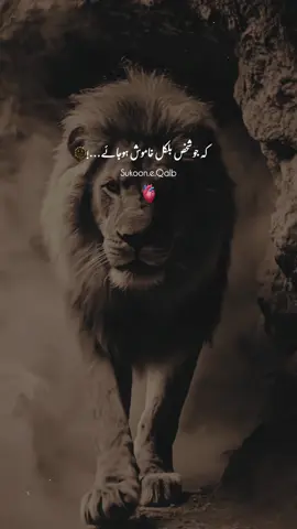 Jo Shakhas Bilkul Khamosh Hojaya Aur Apna Haq K Leya B Na Bolay!🫥❤️‍🩹 #fyp #tiktok #viralvideos #foryou #foryoupageofficiall 