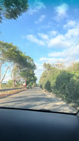 #جنوب #نعيم الشيخ #جديد #طبيعة 