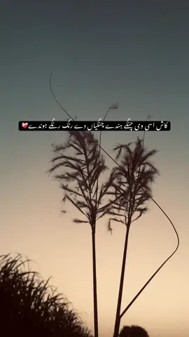 کاش اسی وی چنگے ہندے چنگیاں دے رنگ رنگے ہوندے❤️‍🩹 #dream100k #foryoupage #viralvideos #fyppppppppppppppppppppppp #unfreezemyacount 