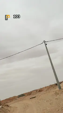 103 🫶🏼💗  #polini #peugeot #mallossi #sig #103 