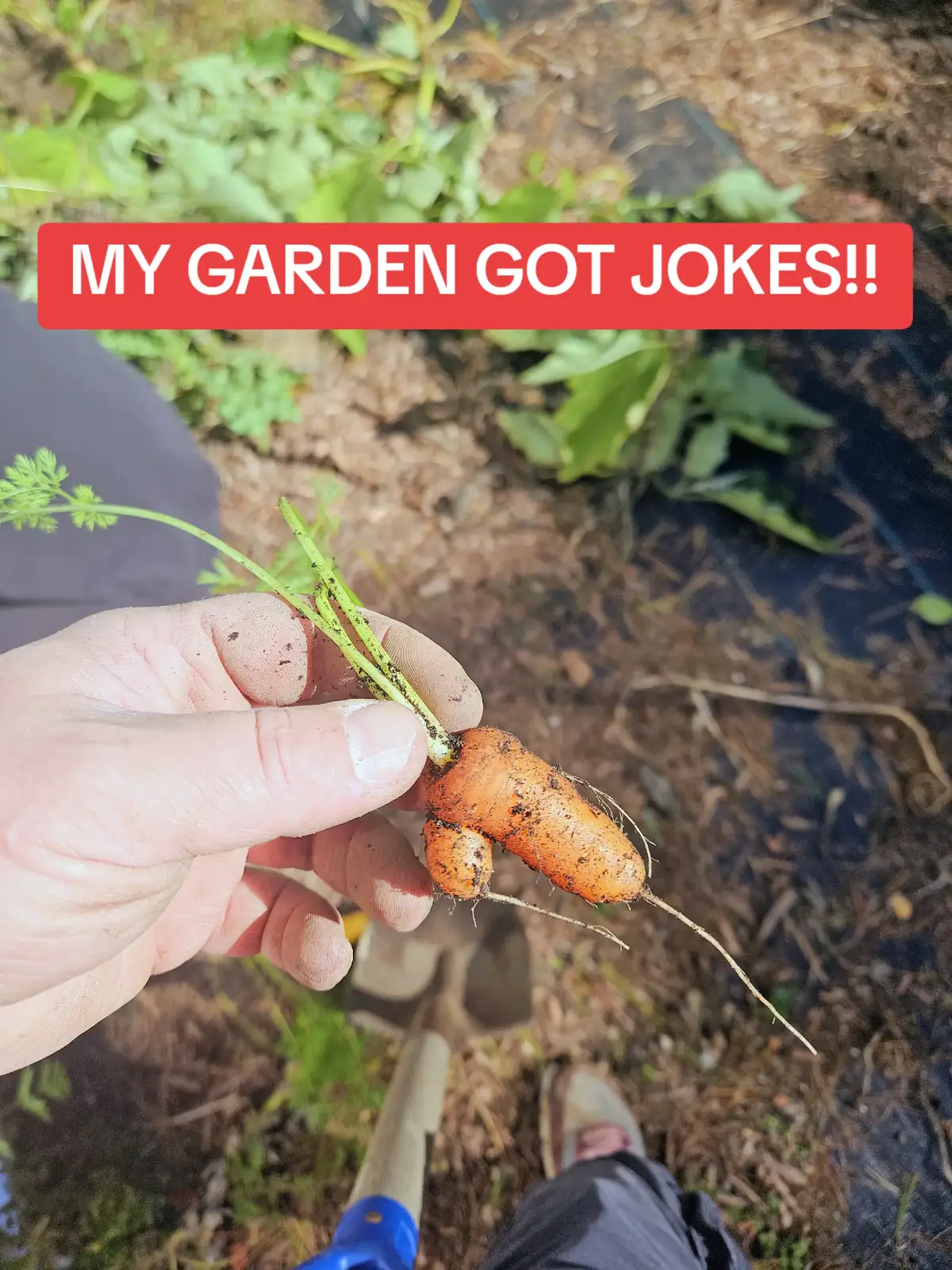 Out working in the Garden and came across this lil fella!!!