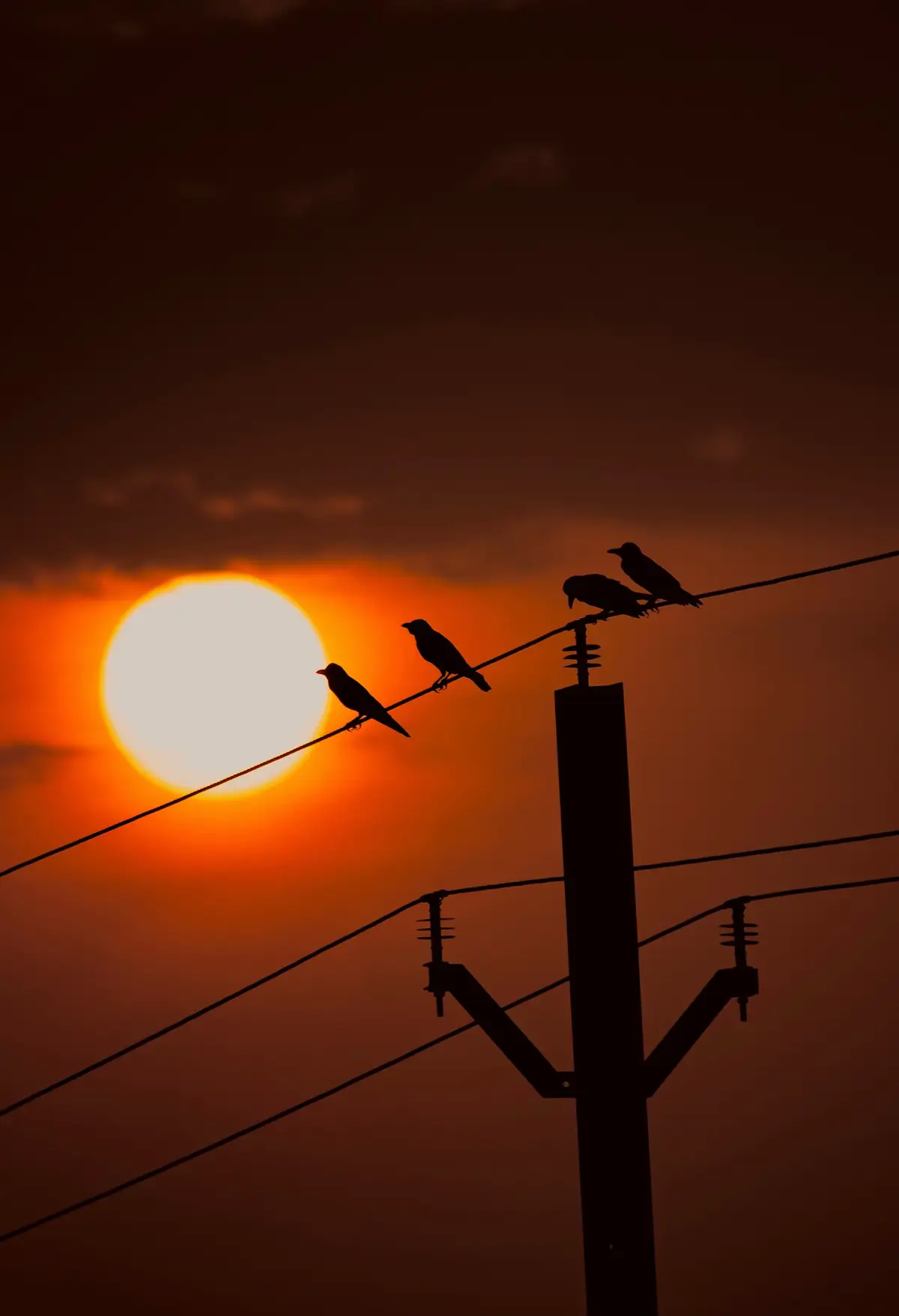 تم میں ویرانیاں پھیل جائیں گی میری بعد کون تمہارے لیے جائے نماز پر بیٹھ کہ روئے گا💔😓 #poetry #sad #dontunderreviewmyvideo #foryou #viral 