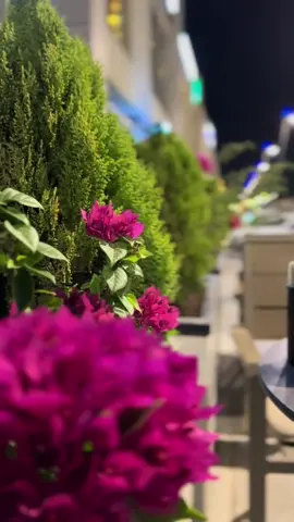 #تصويري #اربيل_العراق_كوردستان🇹🇯 #اكبسلووور #اربيل_دهوك_سليمانية #مشاهير_تيك_توك_مشاهير_العرب🌺💜 