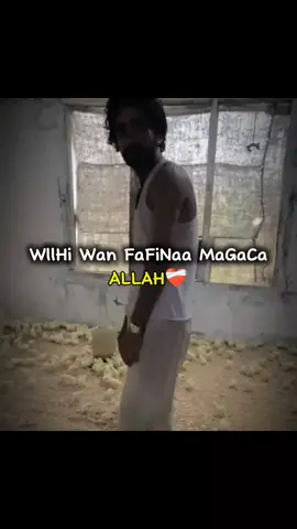 #wllkey ama wllshey tiktok wuu cusub yahay waxaa i awoodid itaapo followda ha iga xasidin wllkey ama wallashey #fyp #tiktok #capcat edit