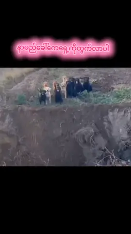 #ရောက်စမ်းfypပေါ် 