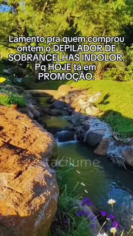🔥 Depilador Indolor Sobrancelha, nariz e buço. Cabeçote de aço inoxidável refinado, recarregável via USB, seguro e compacto. #beleza #depilador #sobrancelhas #autoestima #tendencia 