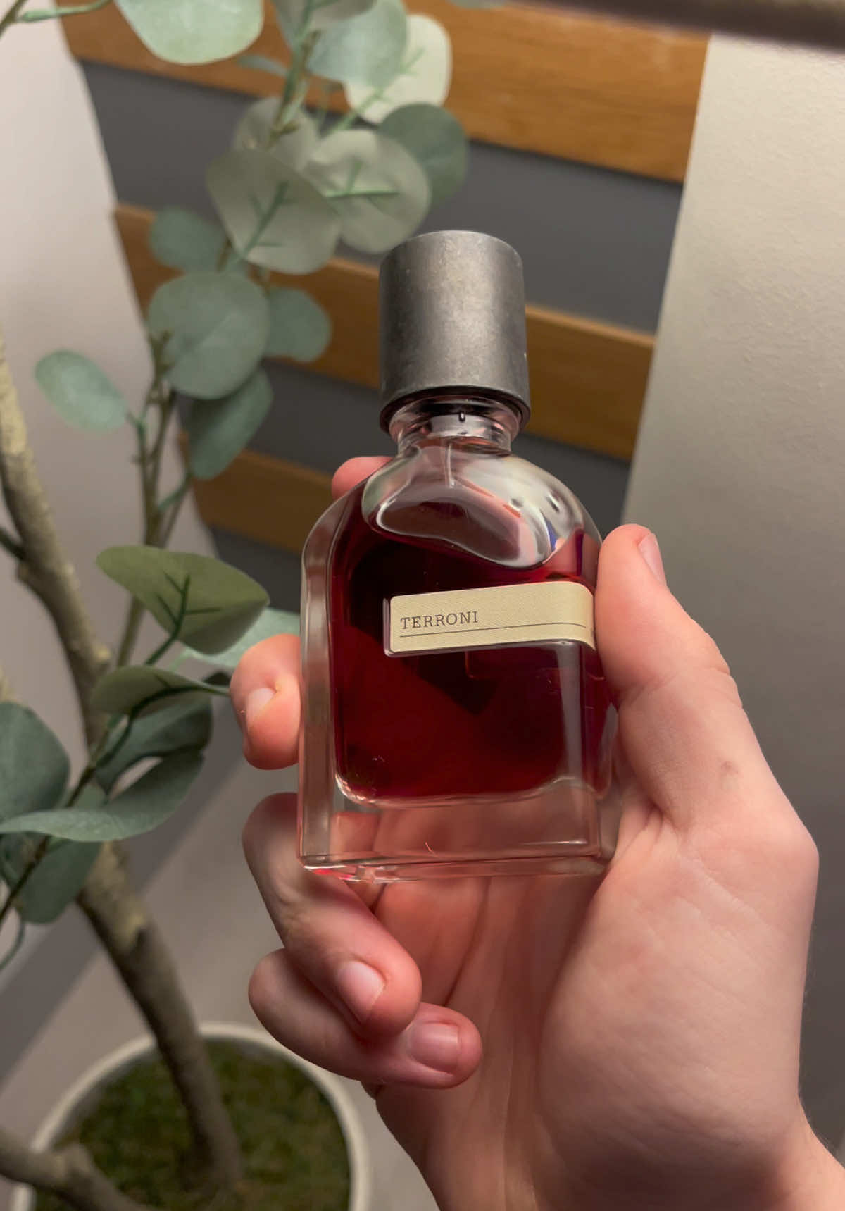 Terroni 🐦‍🔥#frangrance #niche #perfumetiktok #ortoparisi #nasomatto 