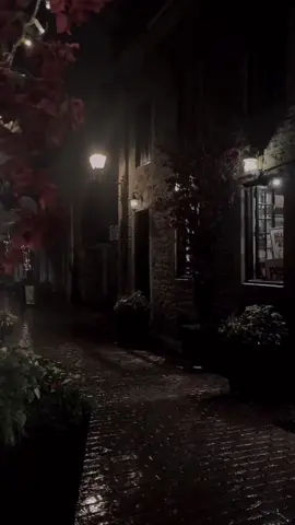 #هدواء_الحياة #صمت_روح🖤 #حزينہ♬🥺💔 #عبارات_حزينه💔 #مناظر_طبيعية 