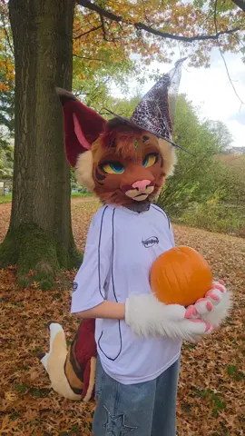 Halloween is cool!!🎃🍁🍂 #furry #fursuit #fursuiter #fursona #furrytiktok 