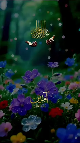 #راحة_نفسية #القران_الكريم  #foruyou #tranding #fyp 