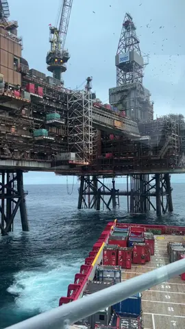 Weekend w biurze 🤓 #office#atsea#offshore#officer#workhard 