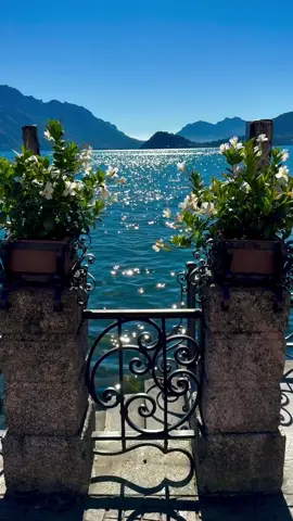 📍LAKE COMO- ITALY 🇮🇹  Lake Como (Lago di Como), located in the Lombardy region of northern Italy, is one of the most beautiful and famous lakes in the world. Shaped like an inverted “Y,” the lake is surrounded by dramatic alpine mountains, lush greenery, and picturesque villages. Its stunning natural scenery has made it a popular destination for travelers, artists, and celebrities for centuries. With its peaceful atmosphere, rich history, and timeless beauty, Lake Como is considered one of Italy’s most enchanting destinations and a true symbol of Italian elegance and charm. #LakeComo  #TravelItaly #VisitItaly #foruyou #viralditiktok 