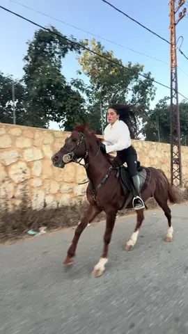 #hraibi🥇 #sireen #sisi #lebanon🇱🇧 #سوريا_تركيا_العراق_السعودية_الكويت_عما 