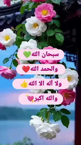 #viraltiktok #pyfツ #fouyou 