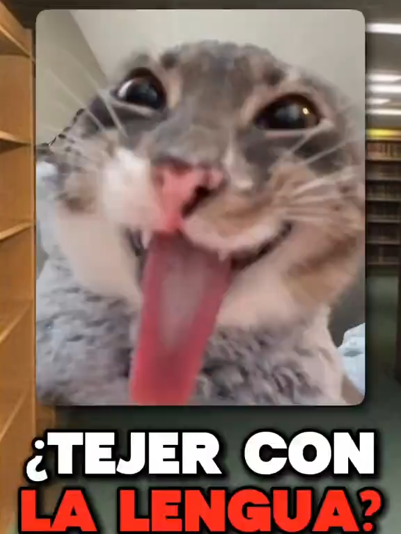 Imaginate que tejan con la lengua, esto es raro...