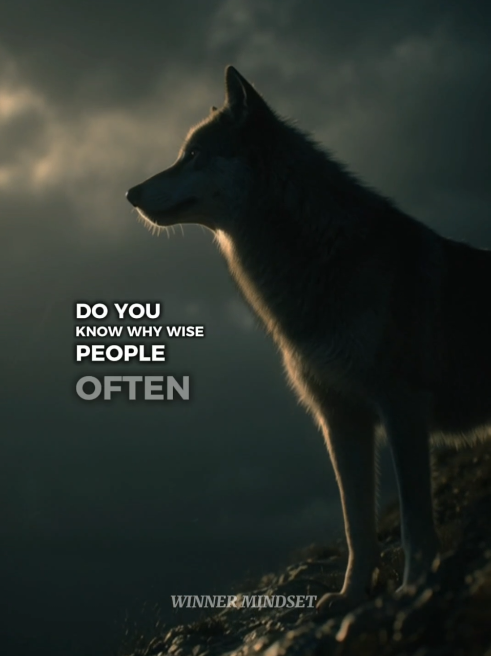why The wise say to live life like a wolf 🐺  #winnermindset #wolf #LifeHack #lifelesson #consistency 