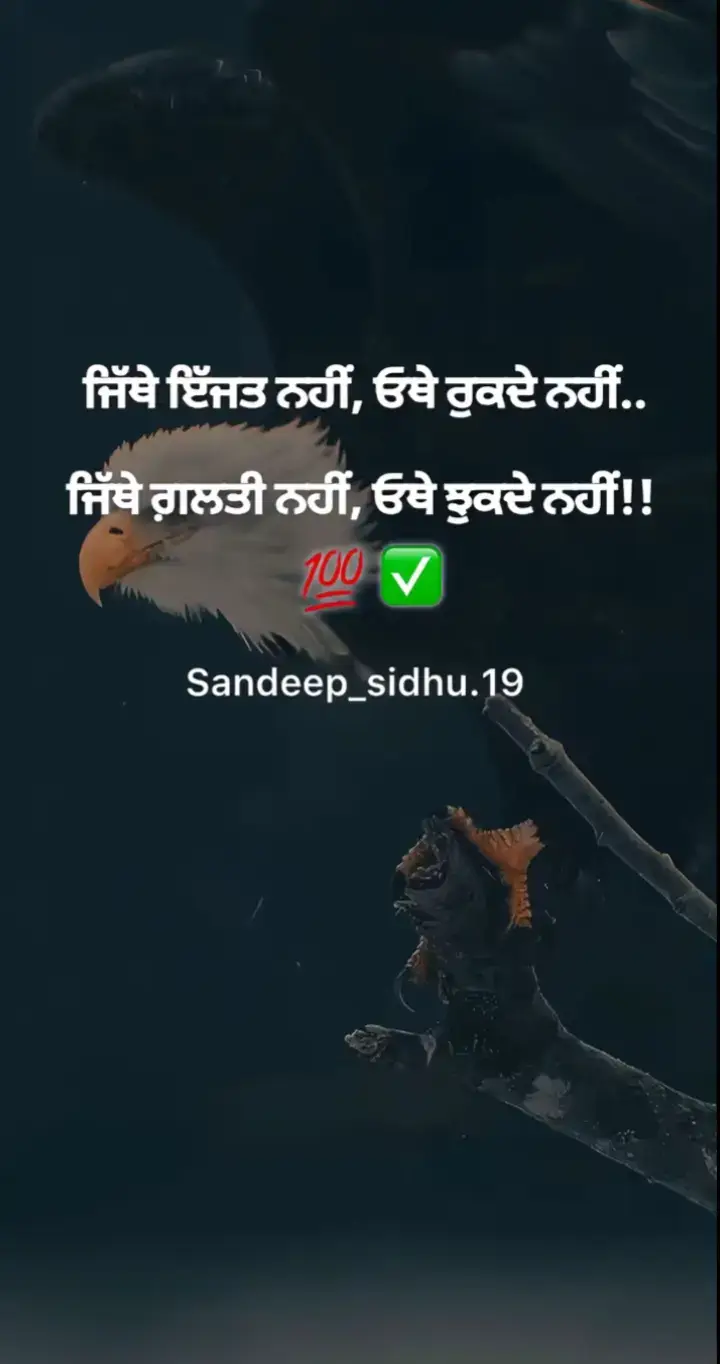 #💯💯💯 #🔥 #,🫵🏻