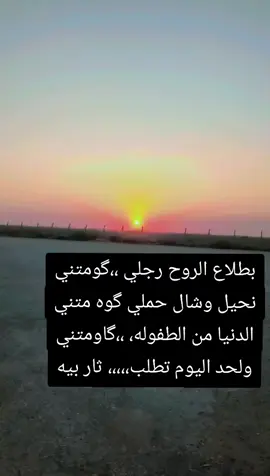 #شعب_الصيني_ماله_حل😂😂 #العراق #العراق🇮🇶 #اهل_البصره #سوريا 