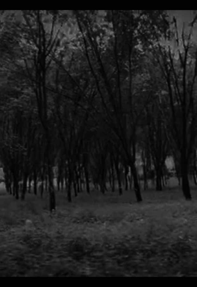 #digitalcamera #naturevibes #dark #foryoupage #fyp 