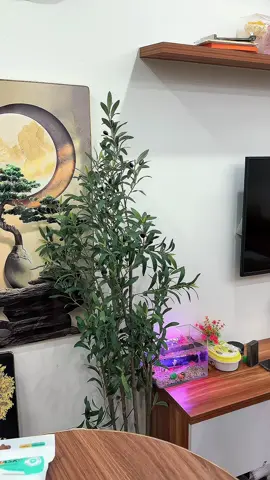 Khẩu trang 5d Topgia #xuhuong #khautrang5d #khautrangtopgia #huyenhomhinh365 