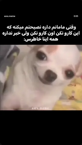 😅😂اگه بفهمه کشته شدم 