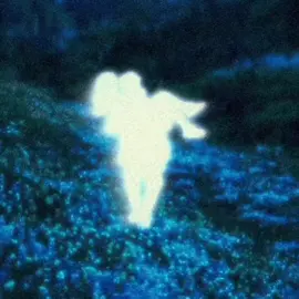 Valerieblud,furelise-Doberoman😵‍💫🪽 . . #المغرب🇲🇦تونس🇹🇳الجزائر🇩🇿 #furelise #song #lyrics #شعب_الصيني_ماله_حل😂😂 