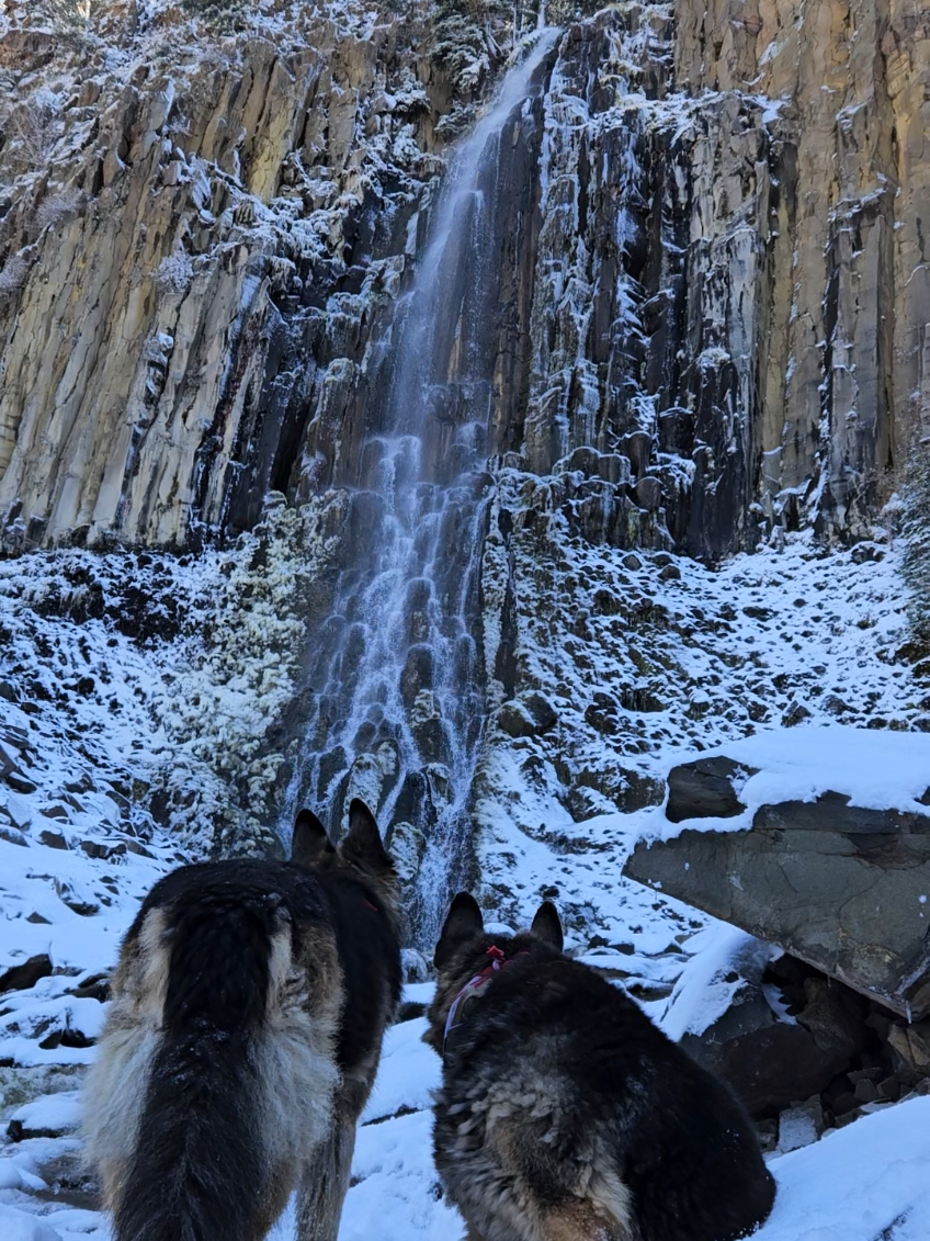 Its been one hell of an adventure #germanshepherd #alwaysonanadventure #Montana 