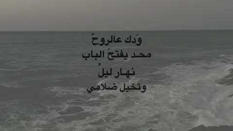 سمير صبيح:سيد فاقد❤️‍🩹 #سمير_صبيح  #شعروقصايد  #تصميم_فيديوهات🎶🎤🎬  #fyp 