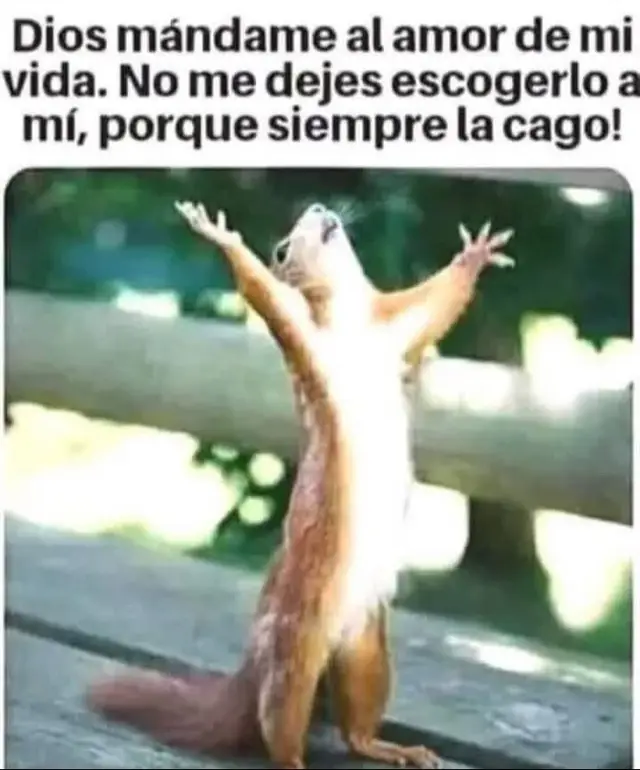 #oupage❤️❤️❤️😘❤️😘😜😍 #thruelove #humor 