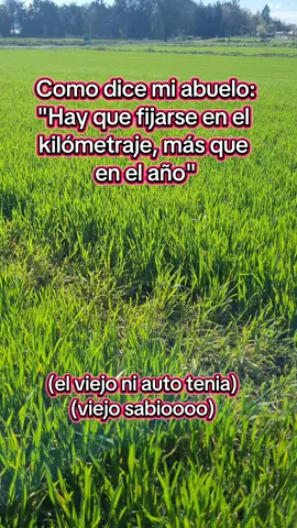 Consejos del abuelo, claramente no estamos hablando de autos también fijarse que no tenga muchos dueños anteriormente 🙄 #paratiiiiiiiiiiiiiiiiiiiiiiiiiiiiiii #foryoupage #fypシ゚ #paratii #humor 