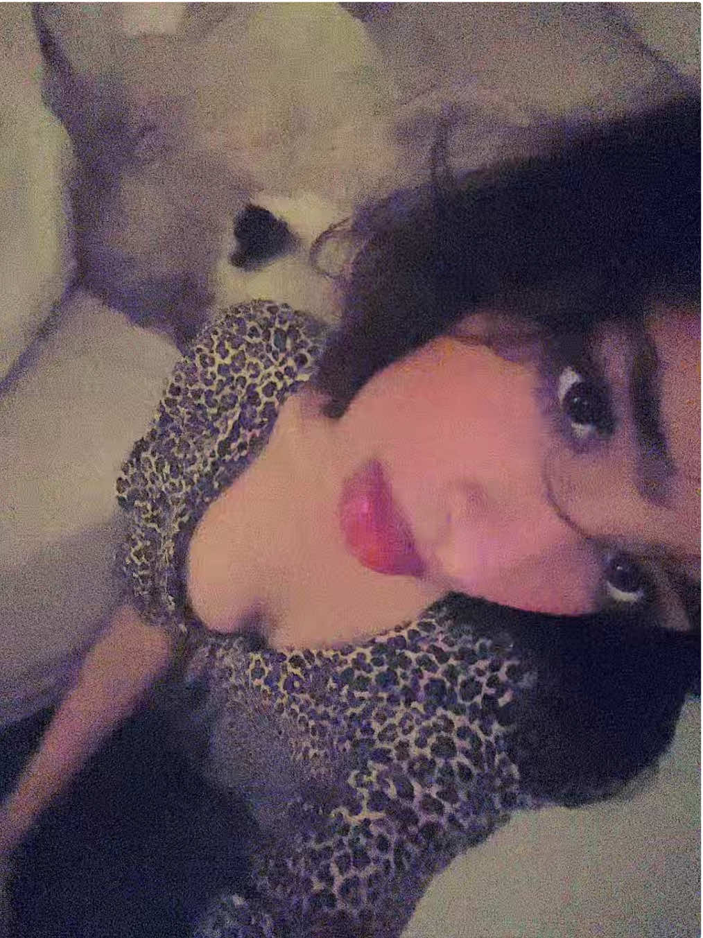 😸😽