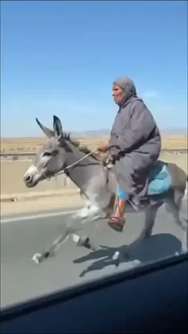 #السعوديه #العراق #الاردن #سوريه #اليمن 