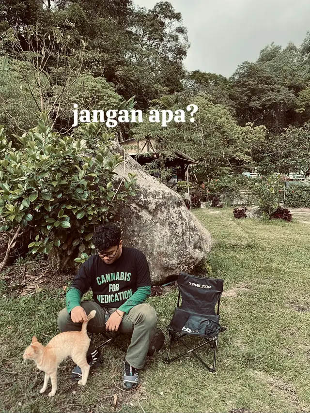 enjoy ❤️💛💚 #raggae #quotes #bobmarley  #stiritup #fyp 