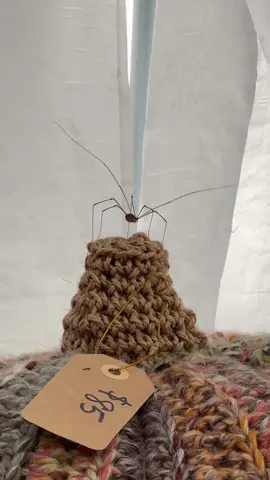We caught a friend! #crochet #spidertok #spider #longlegs #spiderdance 