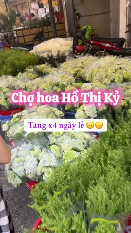 Tình hình các đồng hoa saooo ùiiii 😅😅#chohoa #chohoahothiky #flowermarket #chosihoa #hoa2010 