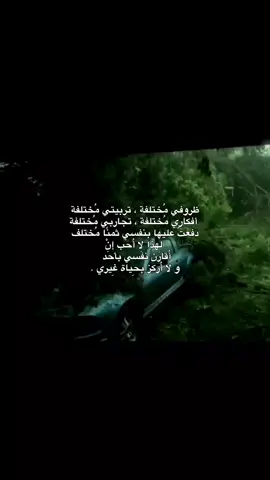قناة التلي موجوده بالبايو . #أنجيل 