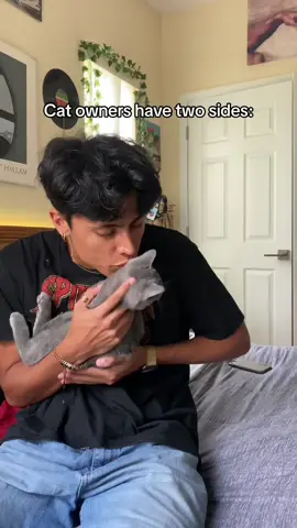 #cat #cats #catsoftiktok 