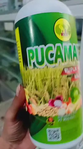 #pupukorganikcair #pupukpucamadu #pupukorganik #petaniindonesia🇮🇩🇮🇩🇮🇩🌿🌿 @poc.pucamadu 