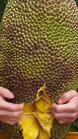 #fruit #vegitable #fruitshow #fruits #fruitcutting 