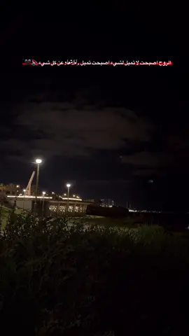 #اشكلون #يافا #fyp #foryoupage #رهط_تل_اسبع_اشقيب_عرعره_حوره_هداج__  @🏴‍☠️ 