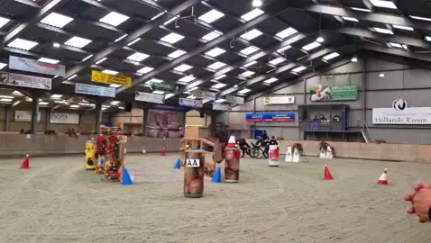 Indoor middenmeer 👏#paard #tuigpaard #menwedstrijd #indoormarathon #mensport 