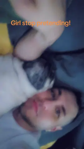 #foreveryone #foryoupage #pug #fyp #fypシ 