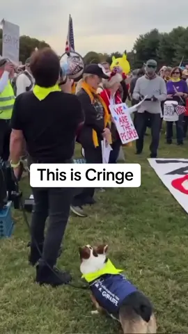 Is the No Kings Protest Cringe?   #conservative  #republican  #politics