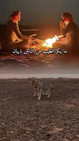 #ما_ينكر_الطيب_من_الناس_ذيبان 