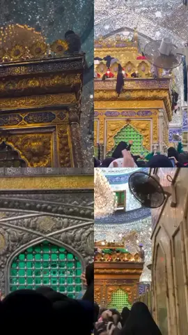 #السلام عليك يالبفضل العباس🙏