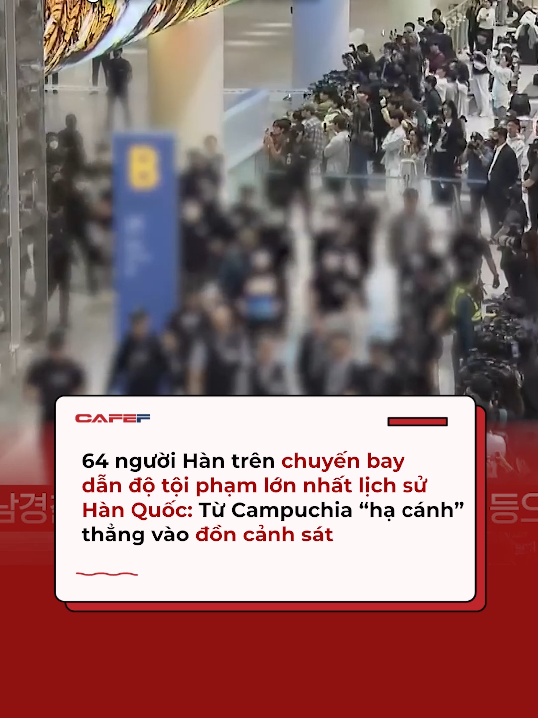 Chuyến bay chở 64 công dân Hàn Quốc bị trục xuất khỏi Campuchia, với 190 cảnh sát áp giải và 23 xe đặc chủng chờ sẵn ở sân bay Incheon.